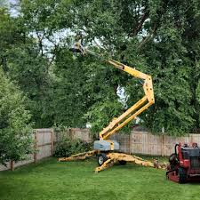 Best Utility Line Clearance  in Tainter Lake, WI